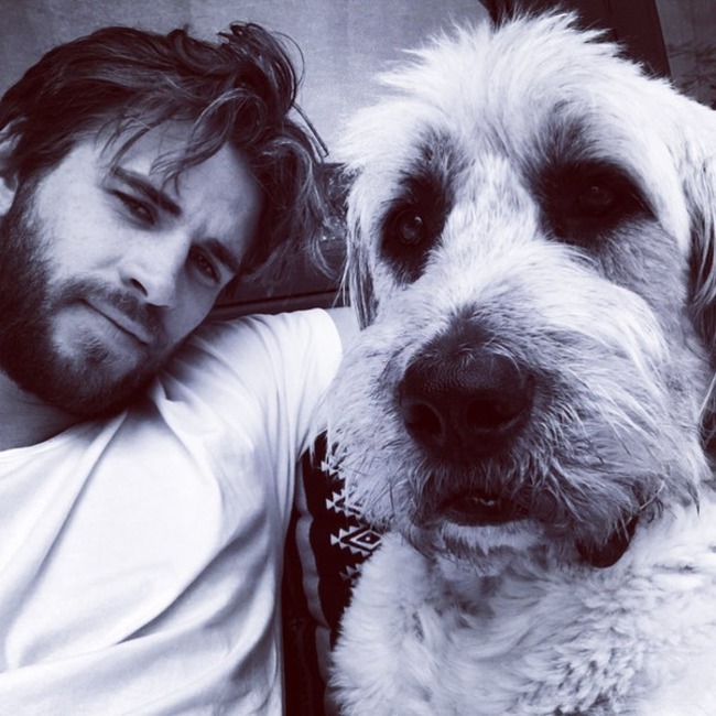 Liam Hemsworth, Dog